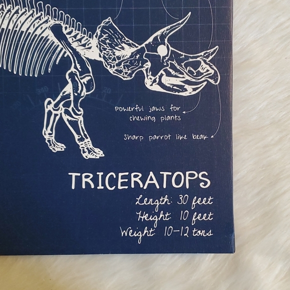 Like New! Canvas Dino Wall Art. - Picture 8 of 14